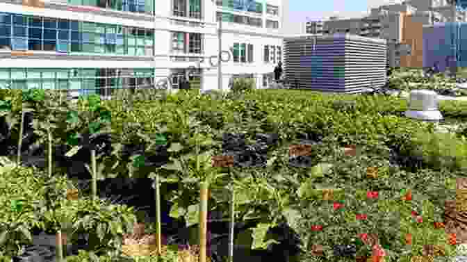 A Vibrant Community Garden Integrated Into An Urban Landscape Architecture Is A Verb