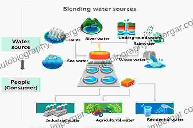 An Effective Water Management Technology: Plastics Design Library Hydraulic Rubber Dam: An Effective Water Management Technology (Plastics Design Library)