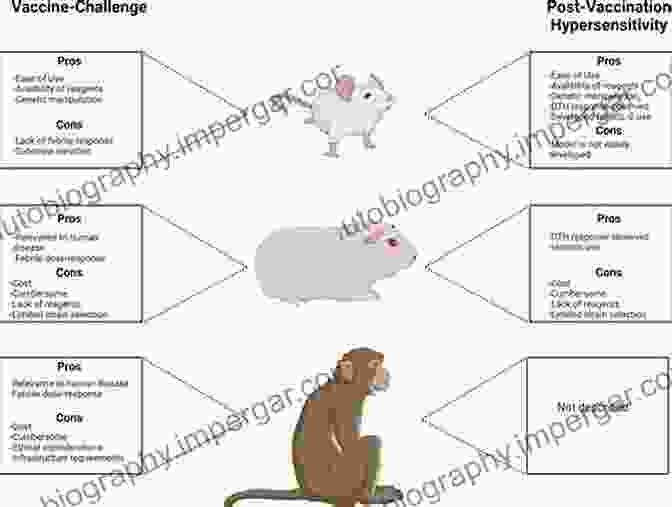 Animal Models Used In Preclinical Drug Development Oligonucleotide Based Drugs And Therapeutics: Preclinical And Clinical Considerations For Development