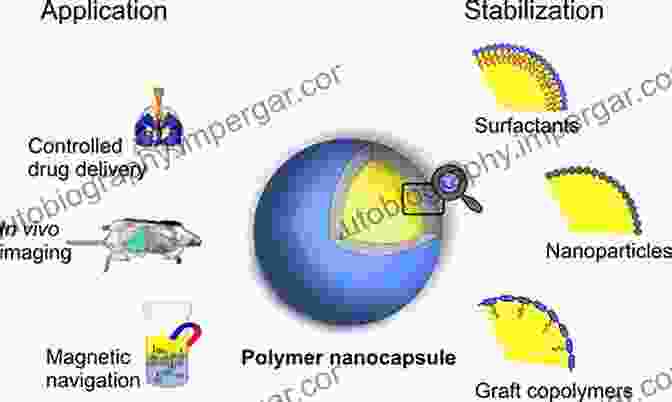 Biodegradable Polymeric Nanocarriers For Catalytic Applications New Materials For Catalytic Applications