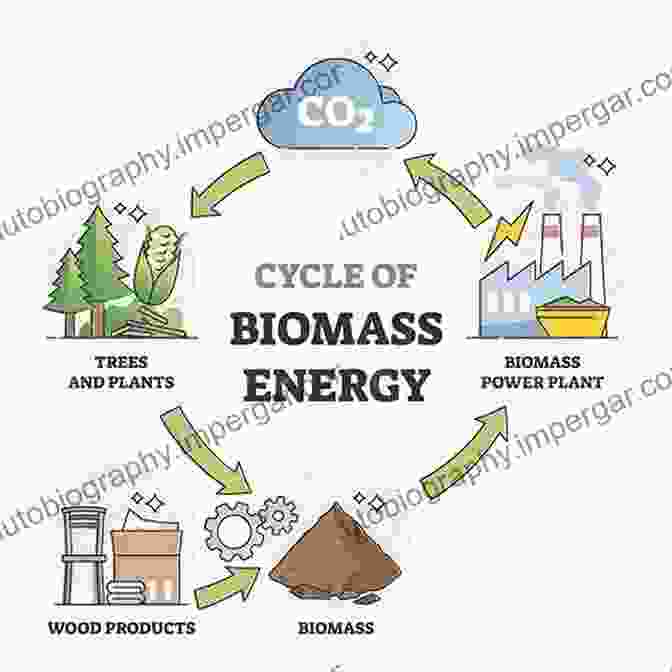 Biomass Combustion Process Diagram The Handbook Of Biomass Combustion And Co Firing