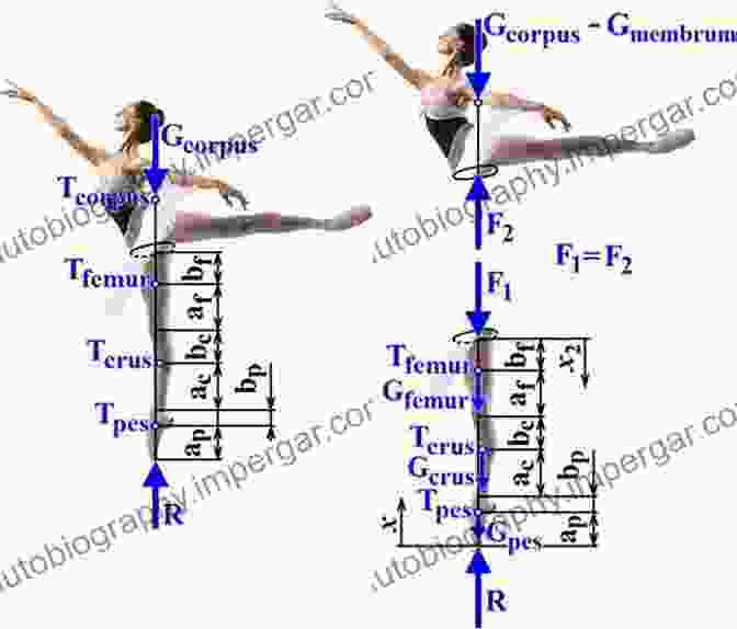 Biomechanics Analyzes The Forces And Movements Of The Human Body Advanced MR Neuroimaging: From Theory To Clinical Practice (Series In Medical Physics And Biomedical Engineering)