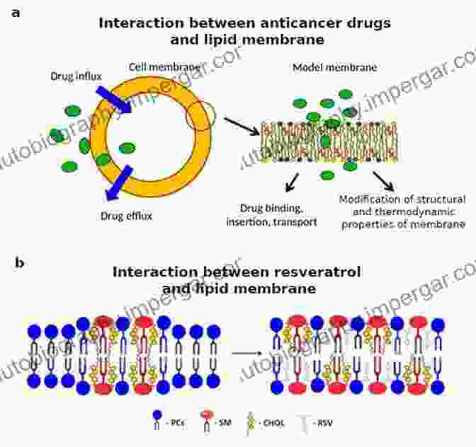 Biomimetic Membrane Mimicking Natural Cell Membranes Bioelectrochemistry Of Biomembranes And Biomimetic Membranes