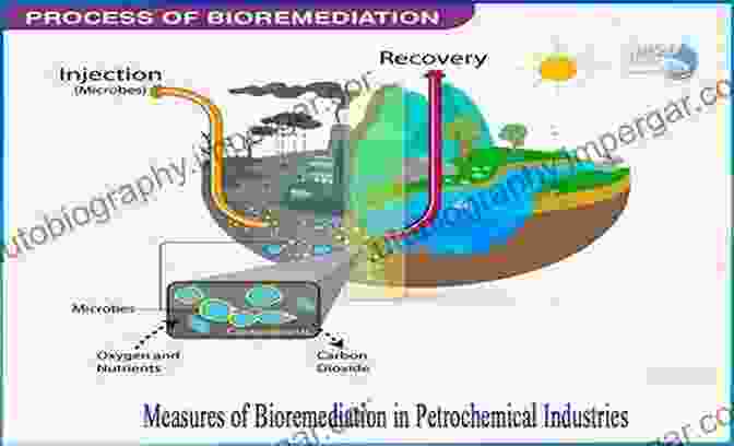 Bioremediation Process Using Bacteria To Degrade Oil Spills Current Developments In Biotechnology And Bioengineering: Emerging Organic Micro Pollutants