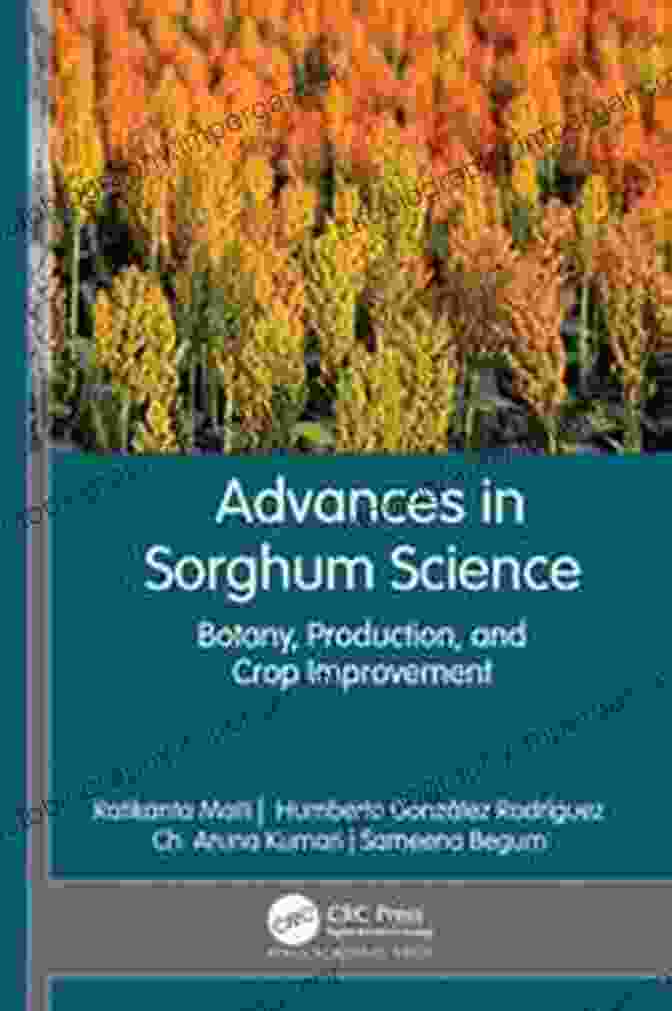 Botany Production And Crop Improvement Book Cover Advances In Cotton Science: Botany Production And Crop Improvement