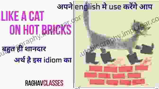 Cat On Hot Bricks Idiom Idioms And Idiomatic Expressions In Levantine Arabic: Jordanian Dialect