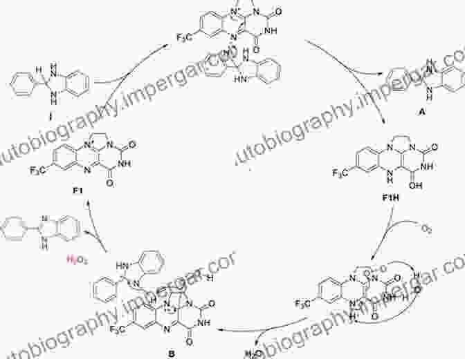 Chemoenzymatic Synthesis Of APIs Pharmaceutical Biocatalysis: Chemoenzymatic Synthesis Of Active Pharmaceutical Ingredients