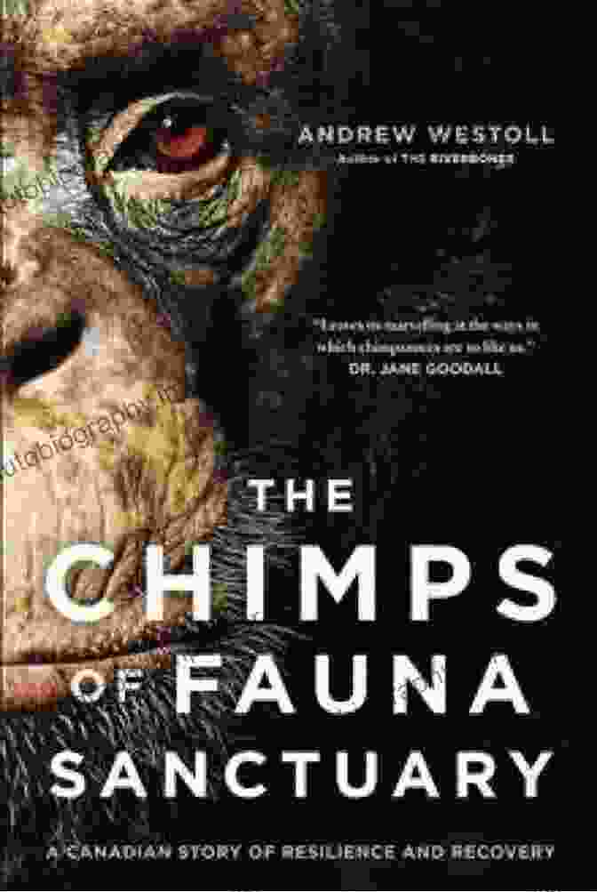 Chimps With Nukes Book Cover Chimps With Nukes Jim Morris