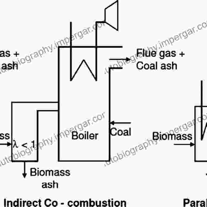 Co Firing Biomass With Fossil Fuels The Handbook Of Biomass Combustion And Co Firing