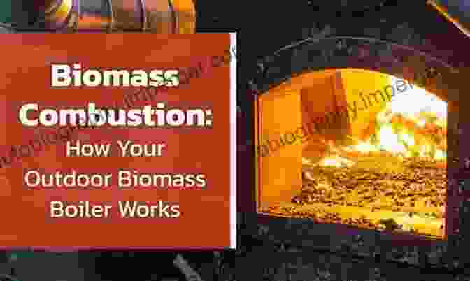 Combustion Technologies For Biomass The Handbook Of Biomass Combustion And Co Firing