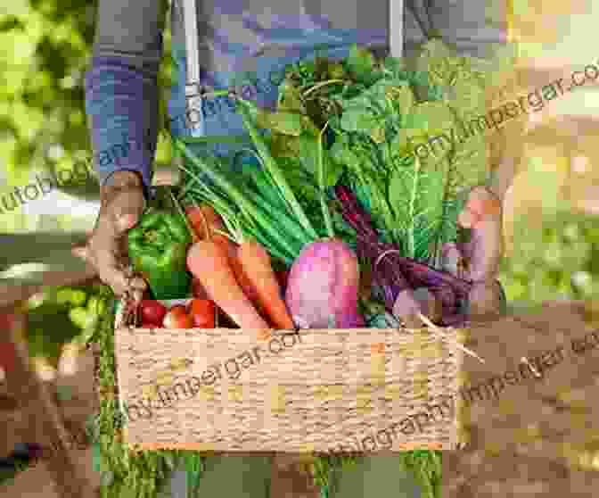 Community Members Picking Up Fresh Produce From A CSA Farm The Of The Farm Volume III