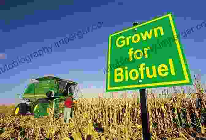 Corn Field Used For Biofuel Production Current Developments In Biotechnology And Bioengineering: Emerging Organic Micro Pollutants