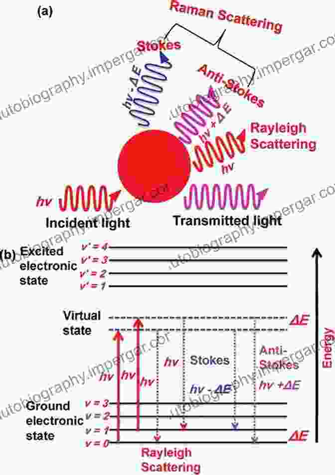 Diagram Illustrating The Interaction Of Photons With Biological Systems Inside The Photon: A Journey To Health