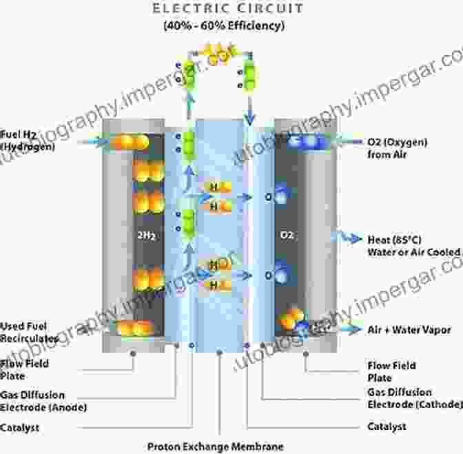 Diagram Of A PEM Fuel Cell System PEM Water Electrolysis (Hydrogen And Fuel Cells Primers 2)