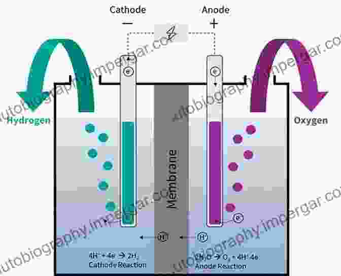 Diagram Of A PEM Water Electrolysis System PEM Water Electrolysis (Hydrogen And Fuel Cells Primers 2)