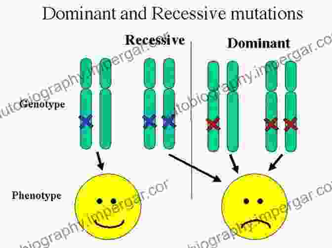 Dominant And Recessive Alleles 50 Genetics Ideas You Really Need To Know (50 Ideas You Really Need To Know Series)