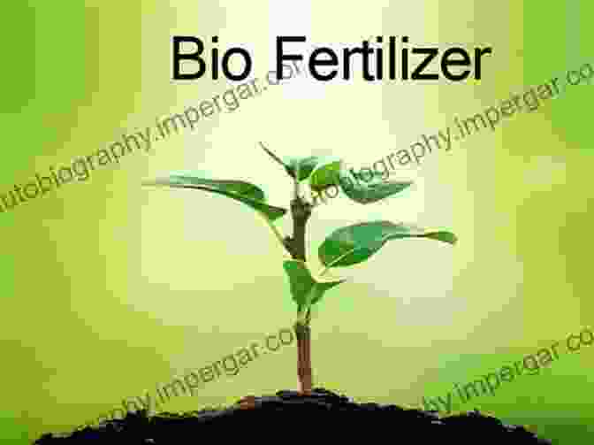 Environmental Protection Organic Farming Biofertilizers And Biopesticides Technology