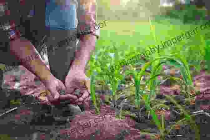 Farmers Using Sustainable Farming Techniques To Protect The Environment The Of The Farm Volume III