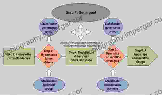 Flowchart Diagram Illustrating The Process Of Landscape Thinking, From Observation And Analysis To Planning And Action. On Landscapes (Thinking In Action)