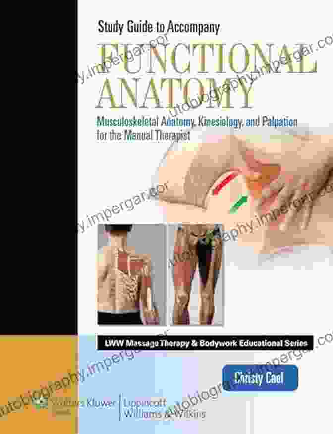 Functional Anatomy For Physical Therapists Book Cover Functional Anatomy For Physical Therapists