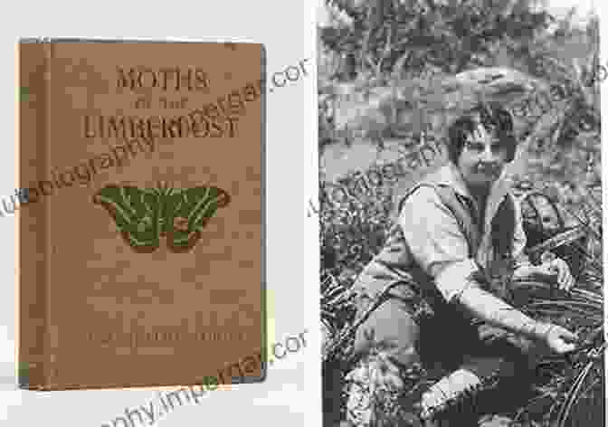 Gene Stratton Porter, A Nature Writer And Conservationist Moths Of The Limberlost Gene Stratton Porter