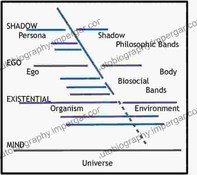 Image Depicting The Spectrum Of Human Consciousness, Ranging From Ordinary To Extraordinary States Textbook Of Transpersonal Psychiatry And Psychology