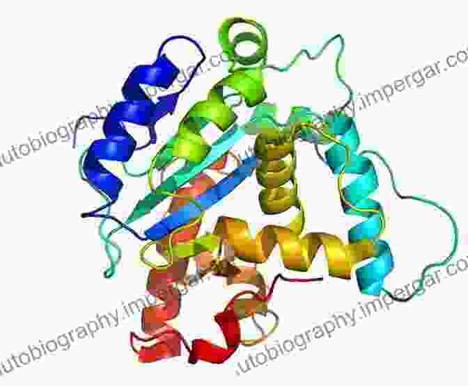 Image Of A Protein Structure Molecular Biology: Structure And Dynamics Of Genomes And Proteomes