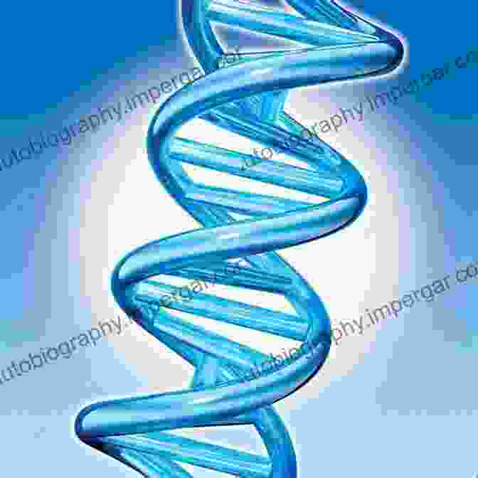 Image Of DNA Double Helix Molecular Biology: Structure And Dynamics Of Genomes And Proteomes