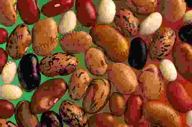 Image Of Legumes Affected By Various Tropical Diseases Tropical Diseases Of Legumes Henry Stephens