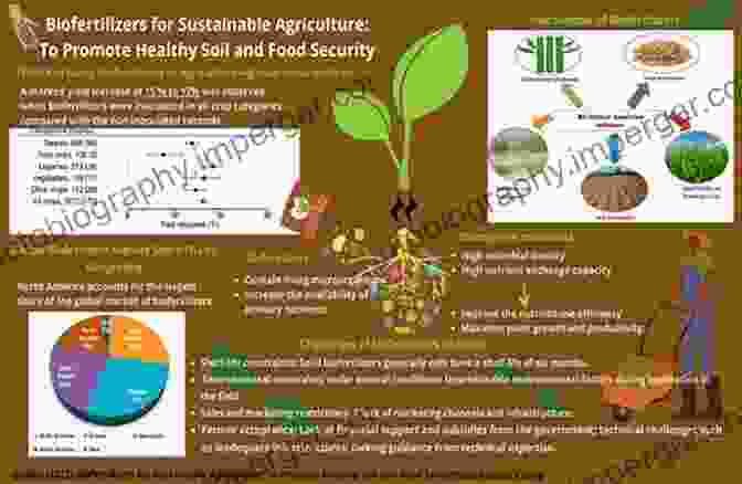 Improved Crop Health Organic Farming Biofertilizers And Biopesticides Technology