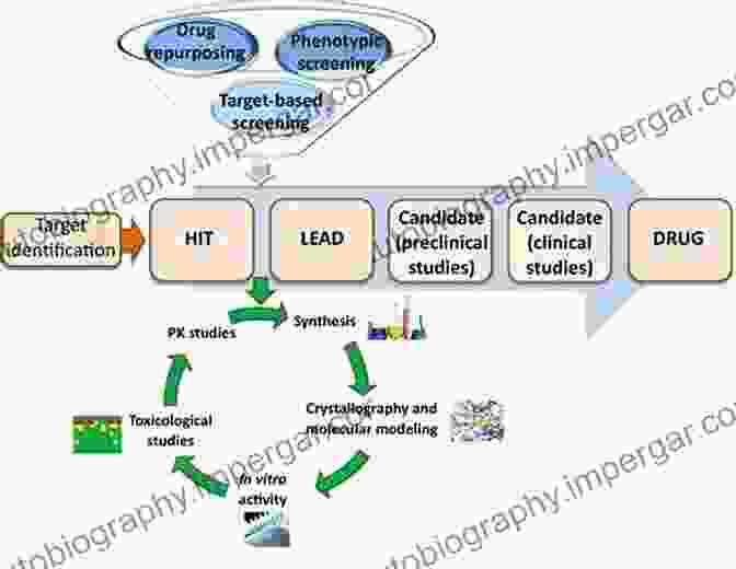 Lead Compound Discovery And Optimization Process Oligonucleotide Based Drugs And Therapeutics: Preclinical And Clinical Considerations For Development