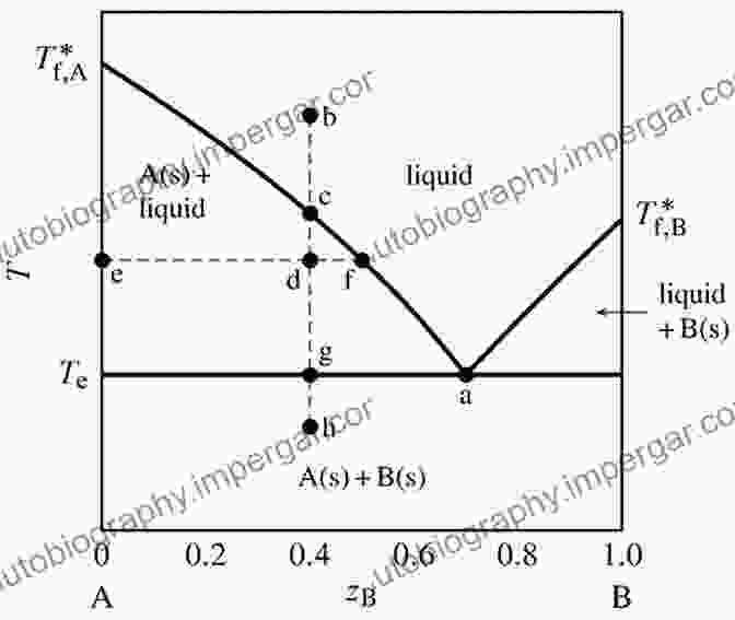 Phase Diagram Showcasing The Phase Behavior Of A Binary System The Thermodynamics Of Phase And Reaction Equilibria