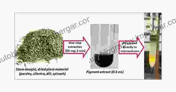 Researchers Conducting Experiments On Natural Pigment Extraction Handbook Of Renewable Materials For Coloration And Finishing