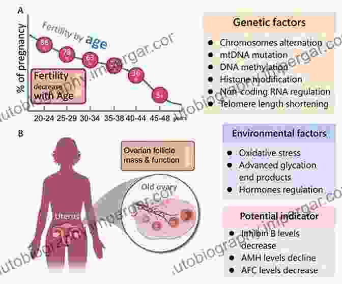 RNA In Aging Image It S In Your DNA: From Discovery To Structure Function And Role In Evolution Cancer And Aging