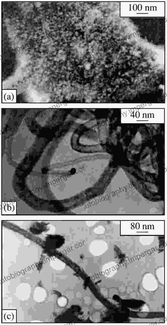 Scanning Electron Micrograph Of Catalytic Nanoparticles New Materials For Catalytic Applications