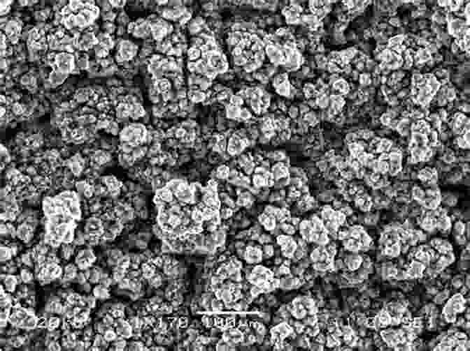 Scanning Electron Microscope Image Of A Metal Surface Affected By Metal Dusting Carburisation, Showing The Formation Of Brittle Carbides. Corrosion By Carbon And Nitrogen: Metal Dusting Carburisation And Nitridation (European Federation Of Corrosion (EFC) 41)