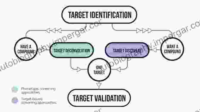 Target Identification And Validation Flowchart Oligonucleotide Based Drugs And Therapeutics: Preclinical And Clinical Considerations For Development