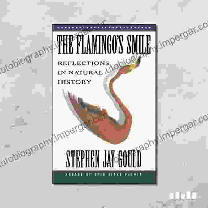 The Flamingo Smile Book Cover Featuring A Vibrant Illustration Of A Flamingo With A Curious Expression The Flamingo S Smile: Reflections In Natural History