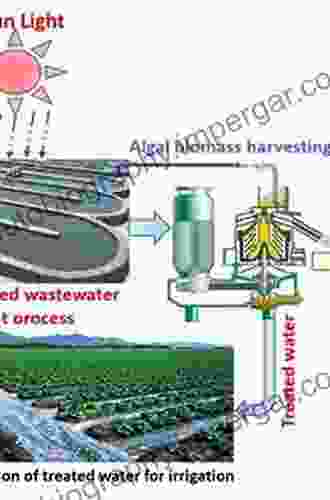 Bioprocessing Of Biofuels