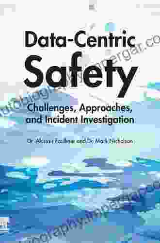 Data Centric Safety: Challenges Approaches And Incident Investigation