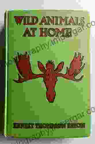 Wild Animals At Home John E Prussing