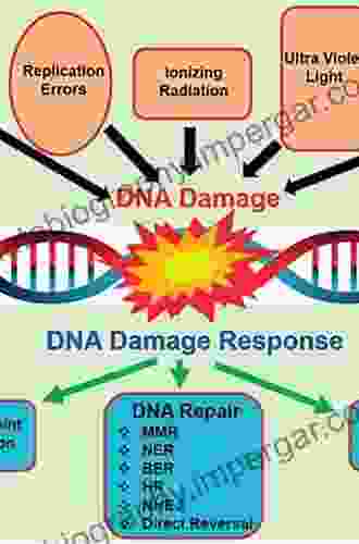 DNA Damage DNA Repair And Disease: Volume 1 (Theoretical And Computational Chemistry)