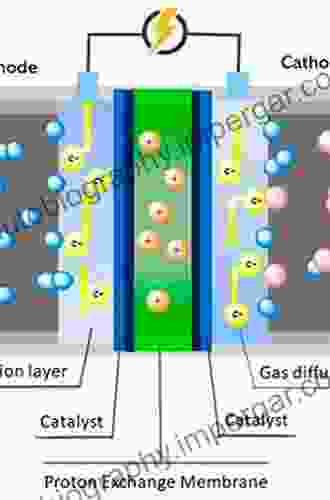 Electrochemical Energy Conversion and Storage