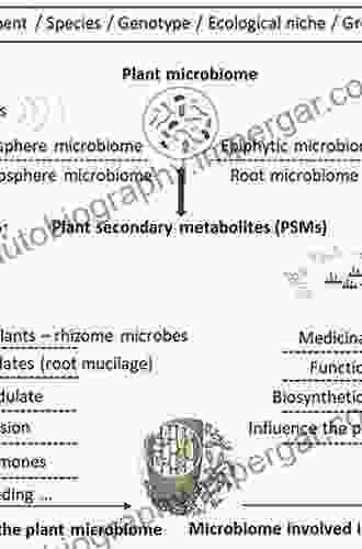 Secondary Metabolites Of Medicinal Plants: Ethnopharmacological Properties Biological Activity And Production Strategies