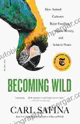 Becoming Wild: How Animal Cultures Raise Families Create Beauty And Achieve Peace