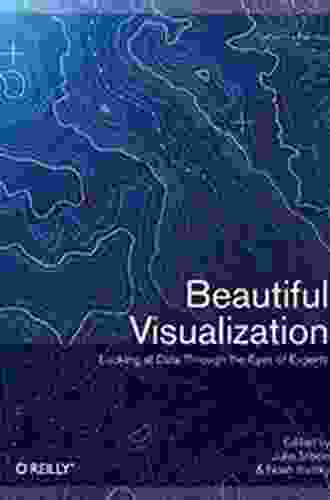 Beautiful Visualization: Looking At Data Through The Eyes Of Experts