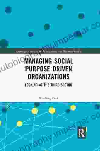 Managing Social Purpose Driven Organizations: Looking At The Third Sector (Routledge Advances In Management And Business Studies)