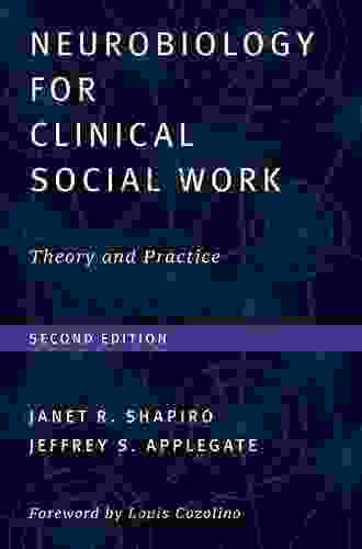 Neurobiology For Clinical Social Work Second Edition: Theory And Practice (Norton On Interpersonal Neurobiology)