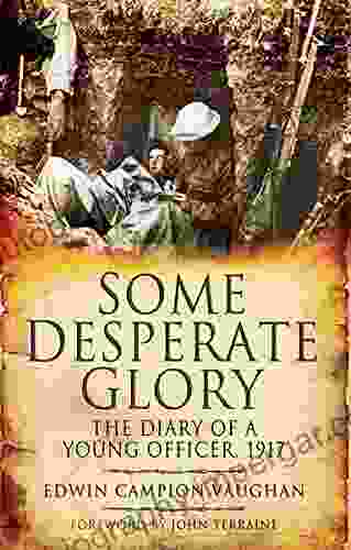 Some Desperate Glory: The Diary Of A Young Officer 1917