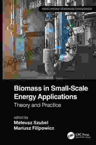 Biomass In Small Scale Energy Applications: Theory And Practice (Energy Systems)